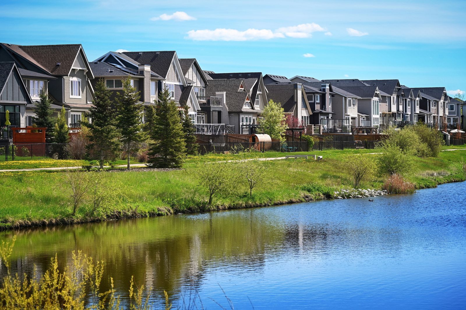Modern suburban houses along a calm pond under a bright blue sky